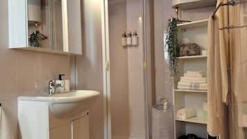 Shower, hair dryer, bidet, towels
