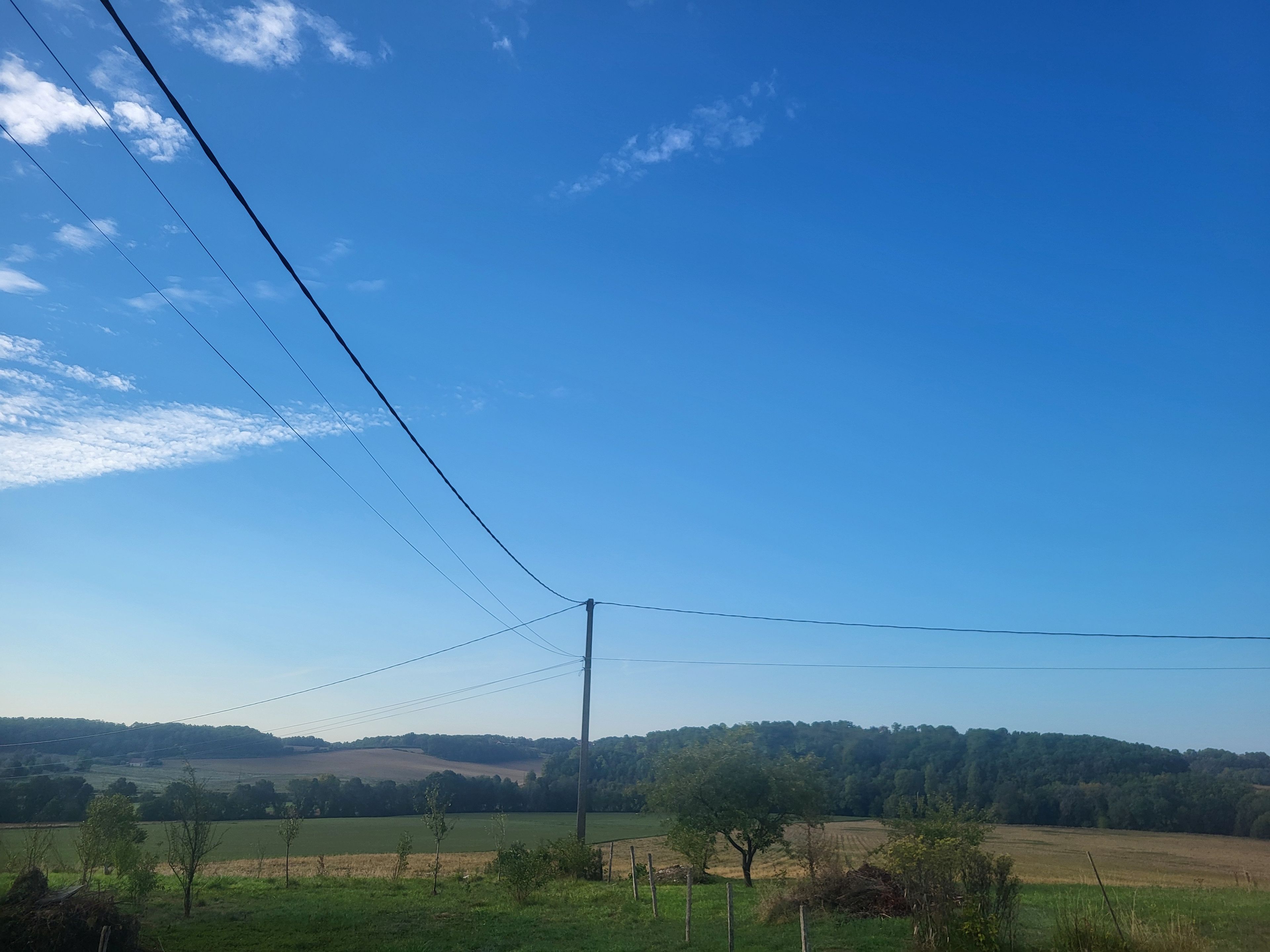 Paesaggio rurale con cielo sereno, linee elettriche e una boscaglia sullo sfondo.