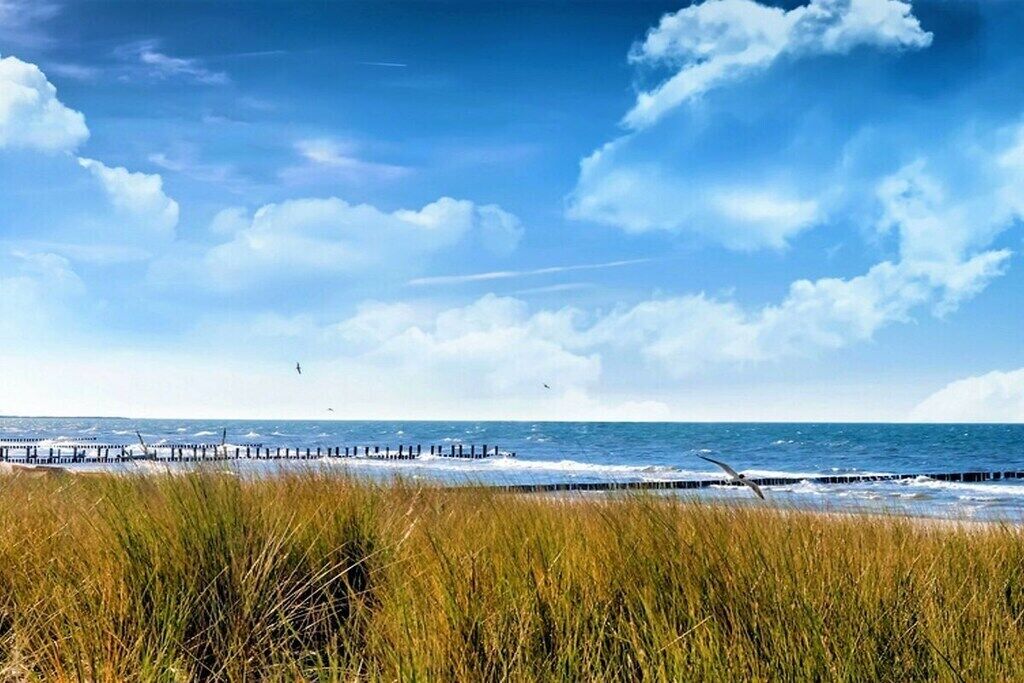 Am Strand