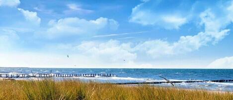 Am Strand