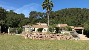 Una villa con un muro in pietra, una palma e una scalinata che conduce a una zona coperta.