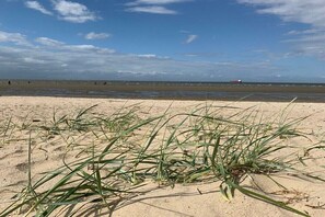 Uma praia arenosa com vegetação rasteira e um navio ao longe.