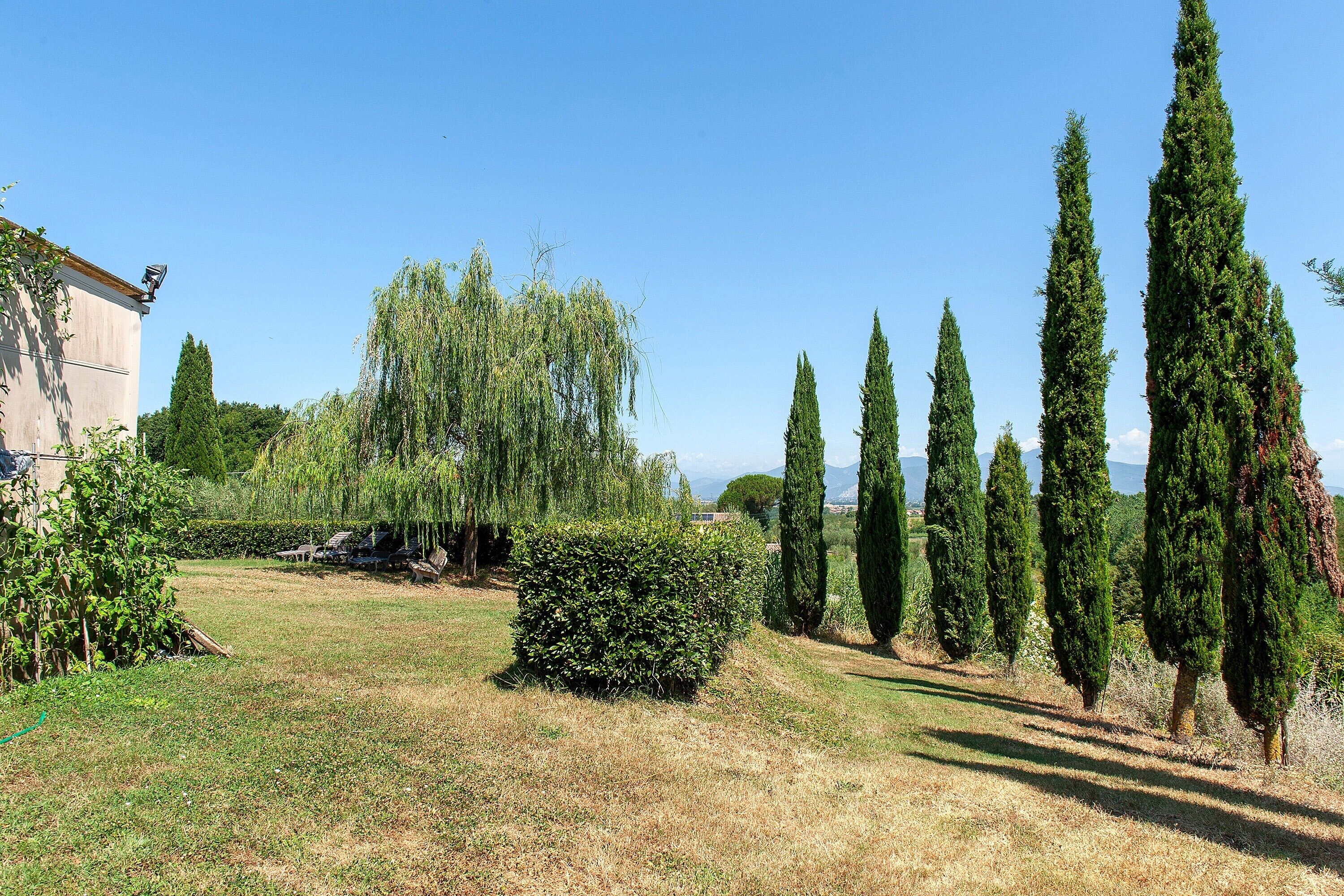 Un jardin aménagé avec différents types d’arbres, une pelouse et un bâtiment équipé d’une antenne parabolique.