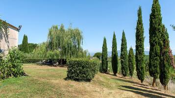 Un jardin aménagé avec différents types d’arbres, une pelouse et un bâtiment équipé d’une antenne parabolique.