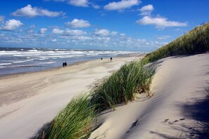 A beach with sand dunes, a clear sky, and a few people walking. - Apartment building Sandperle, Apartment 4 (Norderney)