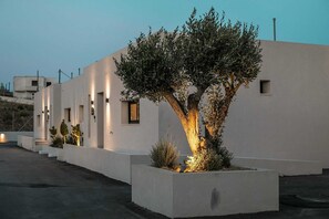 Een modern gebouw met een boom in een plantenbak, een pad en een heldere lucht.