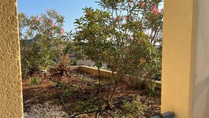 A garden with various plants and a hose on the ground. - Lou Cri-Cri Apartment in Hyères-les-Palmiers on Montée de Costebelle (Hyères)