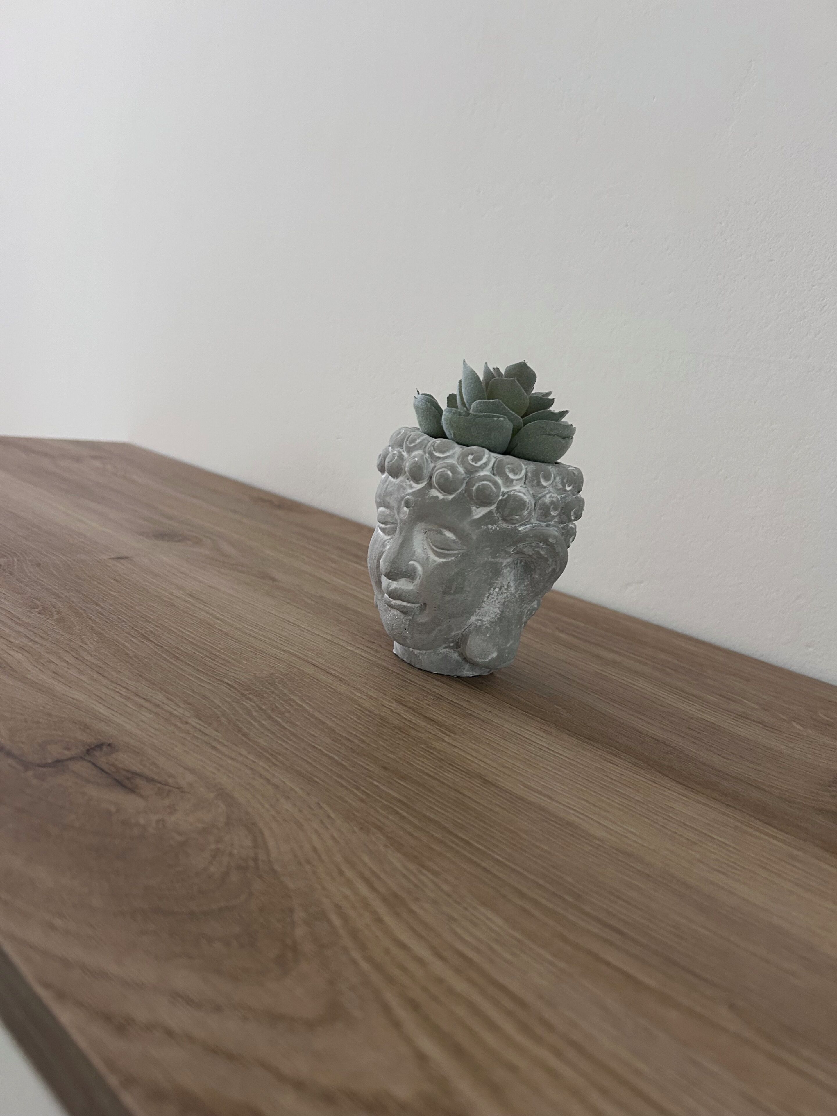 Una jardinera de piedra con diseño facial que contiene una suculenta sobre una superficie de madera.