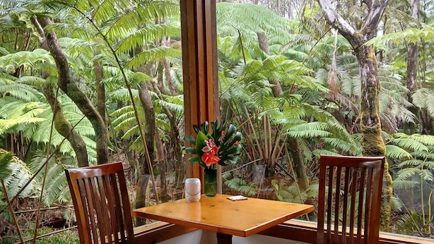 A room with a wooden table and chairs, a hanging light fixture, and a view of a dense forest through large windows.