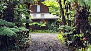 A pathway leading to a house surrounded by lush greenery.