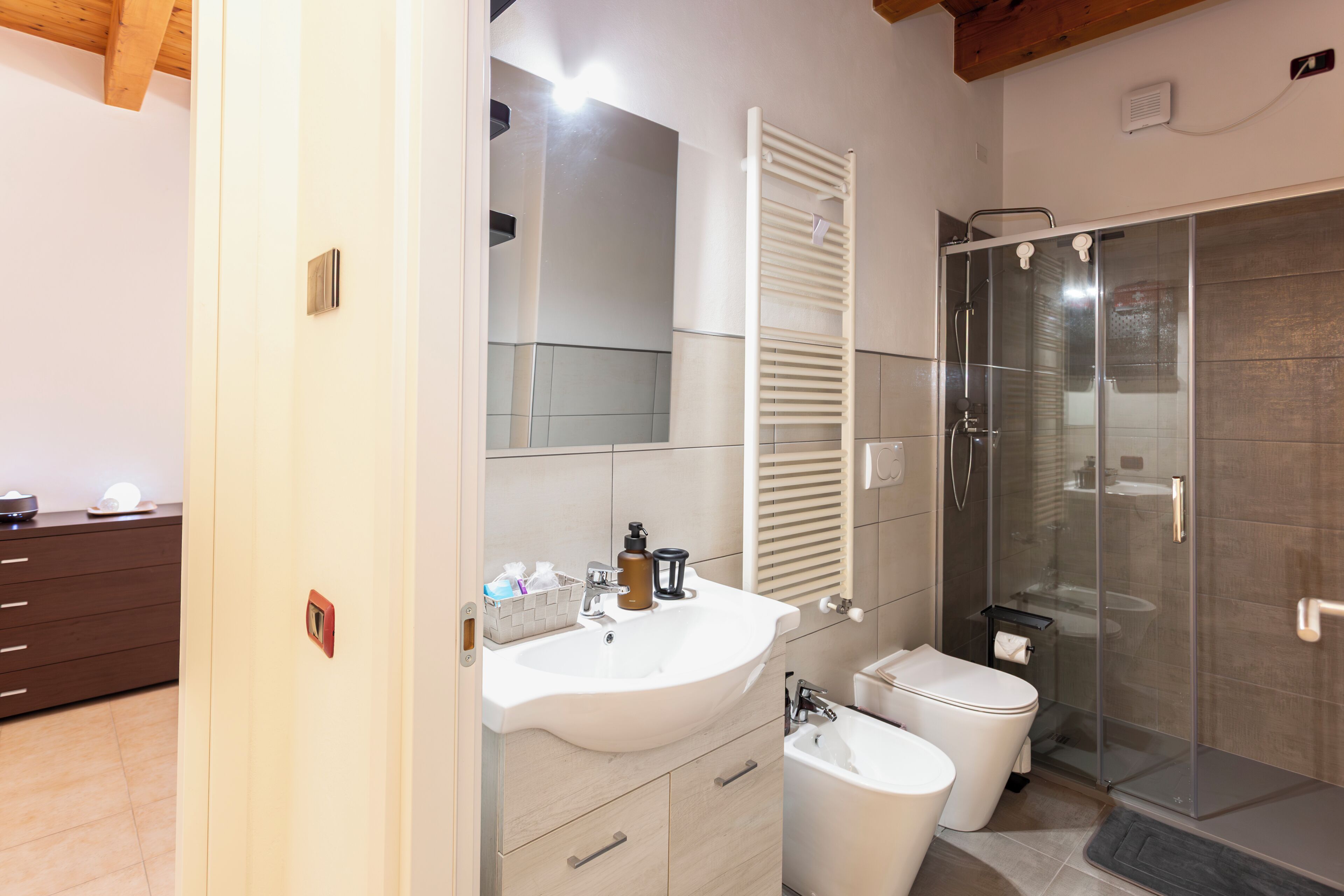 Shower, hair dryer, bidet, towels