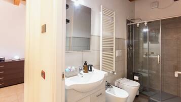 Shower, hair dryer, bidet, towels
