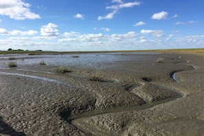 Eine weite, flache Landschaft mit blauem Himmel und vereinzelten Wolken.