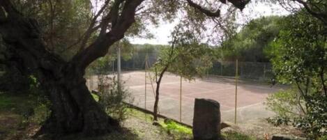 Terrain de sport