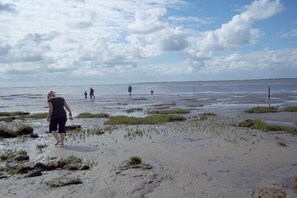 Ein Strand mit Menschen, die spazieren gehen, einigen Stehenden und einem klaren Himmel.