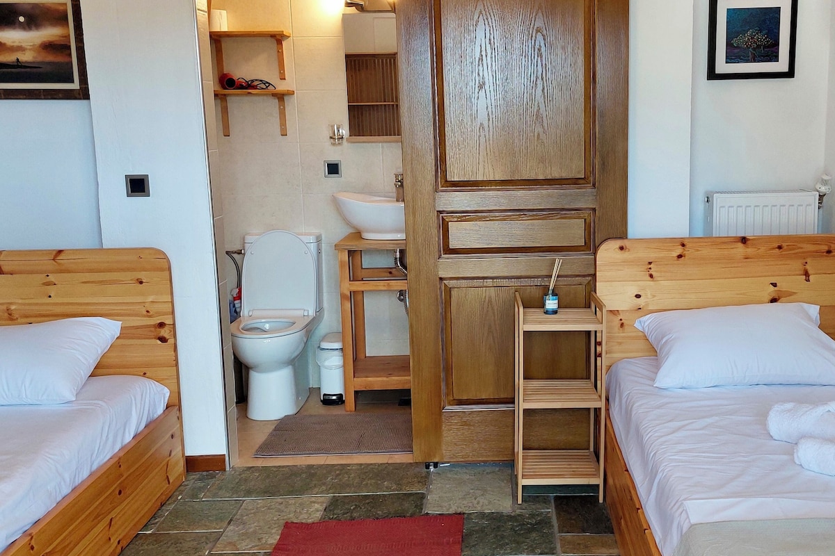 A bedroom with two wooden beds, a wooden wardrobe, a white toilet, and a sink.