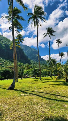 Tropical Retreat & Spa near Taahiamanu Beach