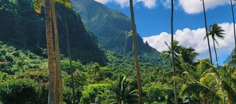 Tropical Retreat & Spa near Taahiamanu Beach