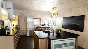 Fridge, oven, stovetop, dishwasher