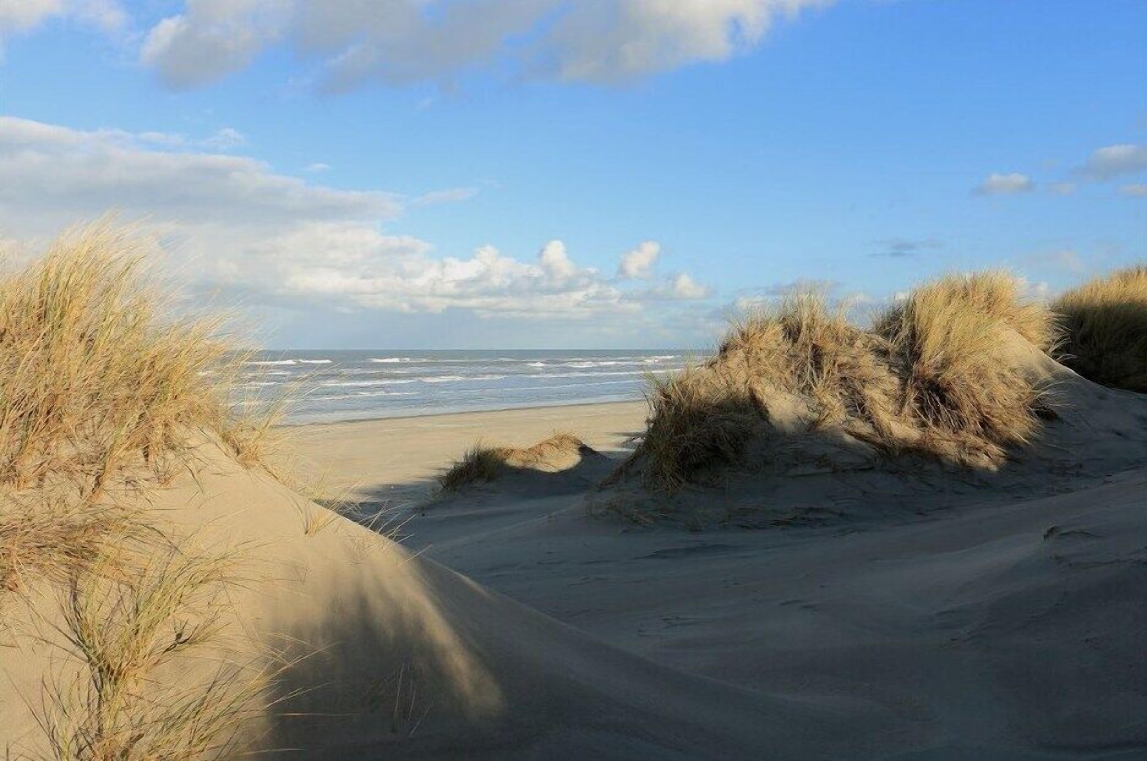 Playa