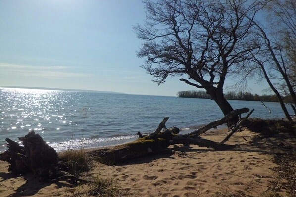 A beach with a tree, sandy shore, and calm water. - Holiday apartment with 3 bedrooms (Karlsborg)
