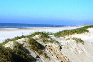 Ein Strand mit Dünen und blauem Himmel.