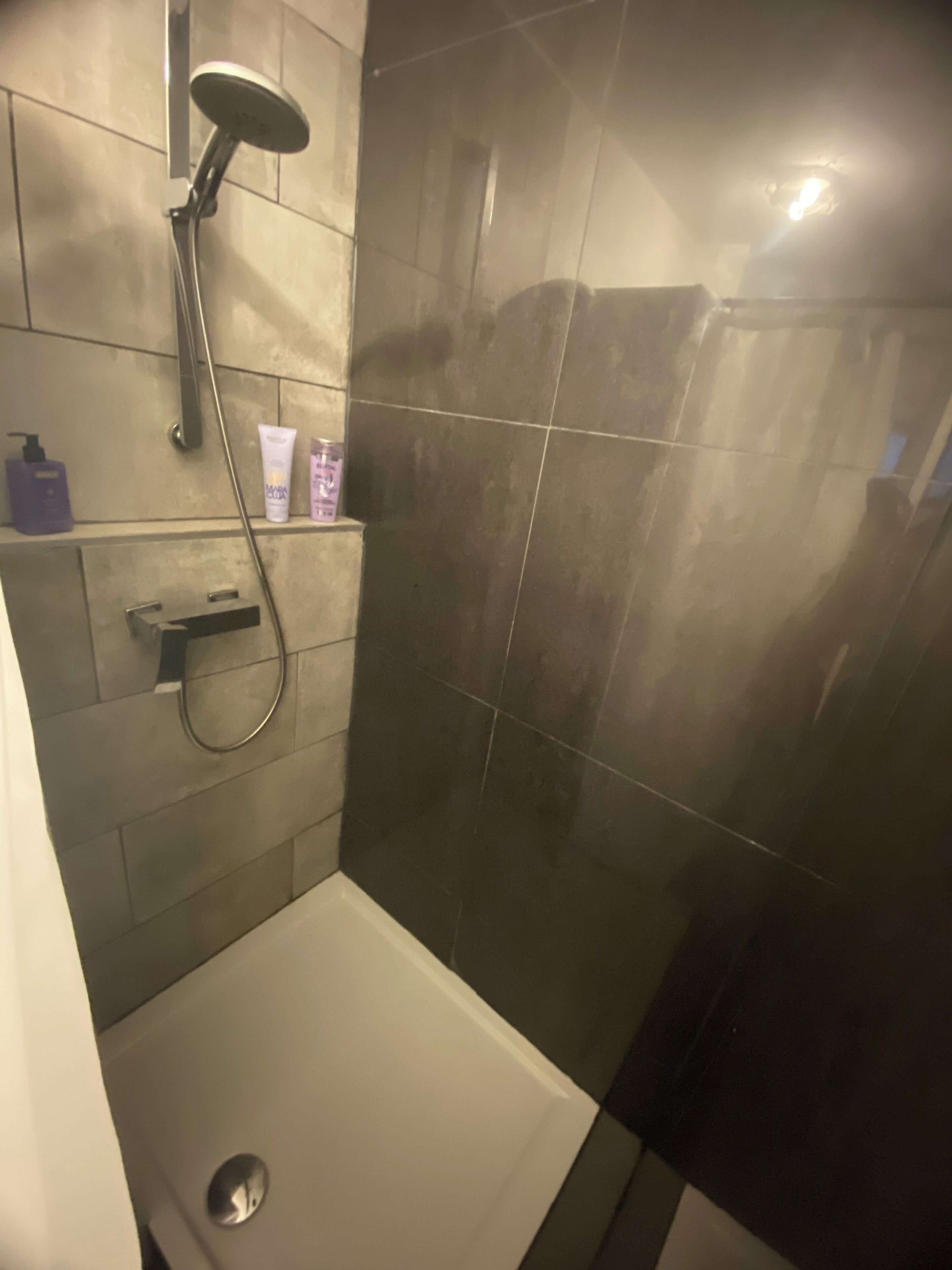 Eine Dusche mit Duschkopf, Wandarmatur und Ablage für Pflegeprodukte.