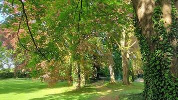 Een park met een pad omzoomd door bomen, een gazon en een haag.