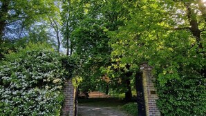 Un sentier de gravier traverse une arche en briques, bordée d’une végétation luxuriante et d’arbustes à fleurs blanches.