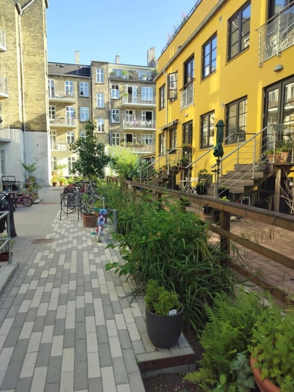 A courtyard with a paved walkway, potted plants, bicycles, and a staircase leading to a yellow building.