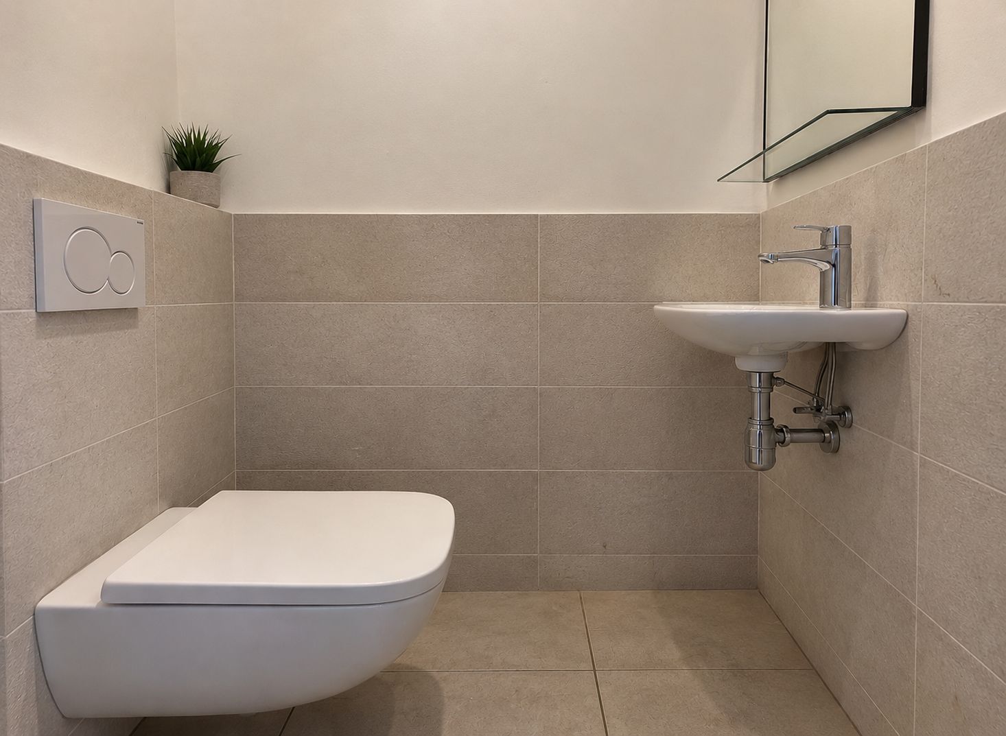 Une salle de bain moderne avec des toilettes, un lavabo et une petite plante en pot.