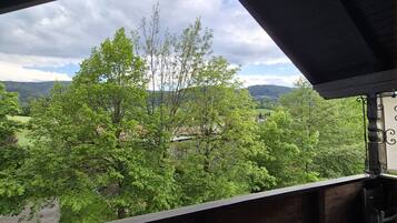 A balcony with a view of a green landscape and trees, a wooden ceiling, and a small table with a chair.