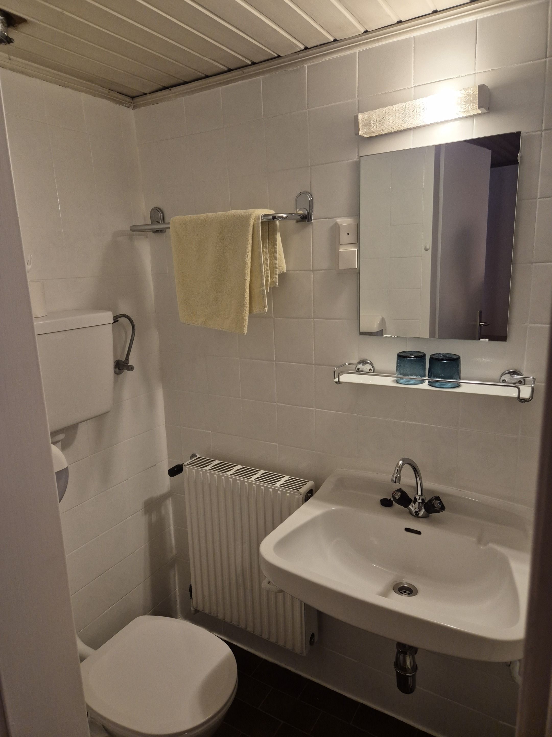 Un baño con inodoro, lavamanos, espejo, toallero y radiador.