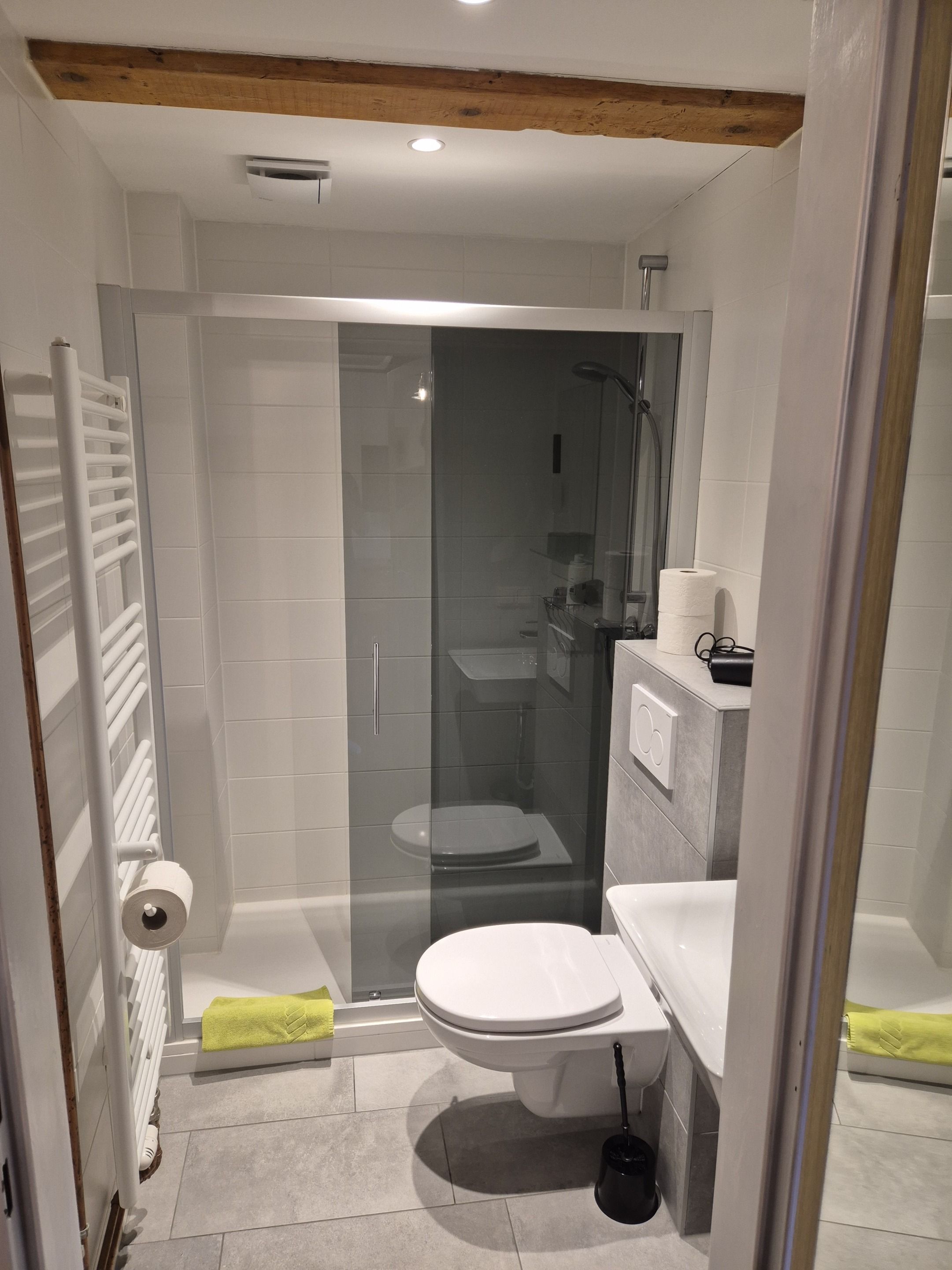 A modern bathroom with a glass-enclosed shower, a toilet, and a sink.