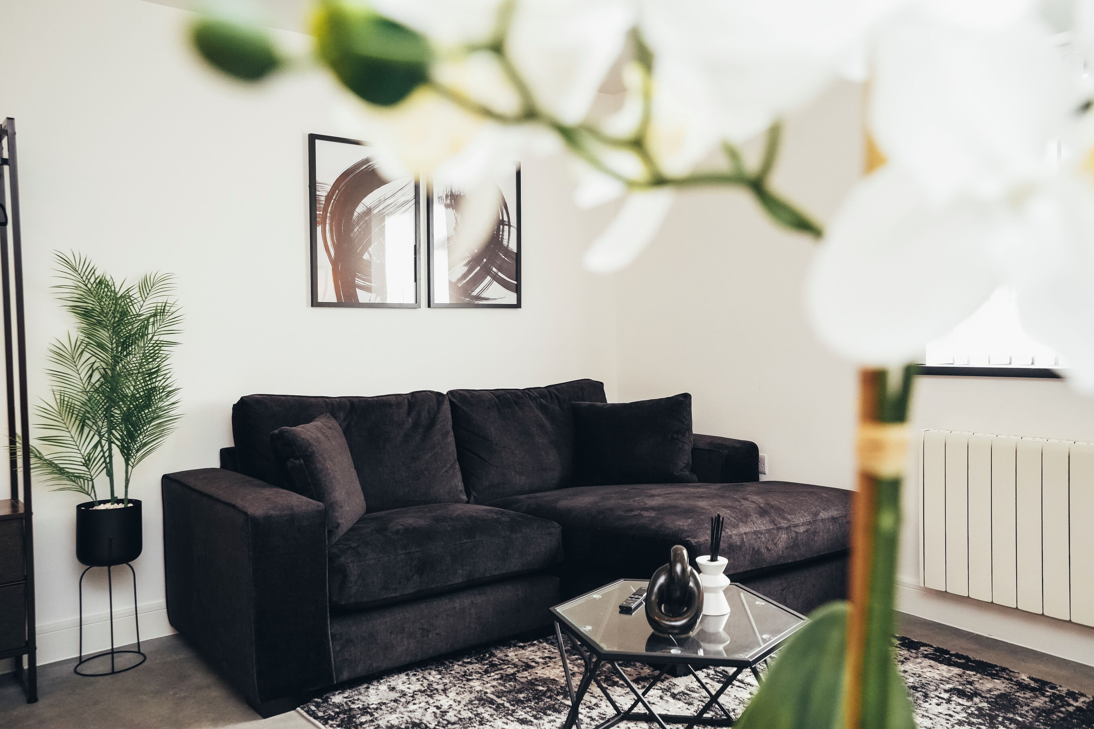 En moderne stue med en mørk sofa, et glasbord, en potteplante og billeder på væggen.