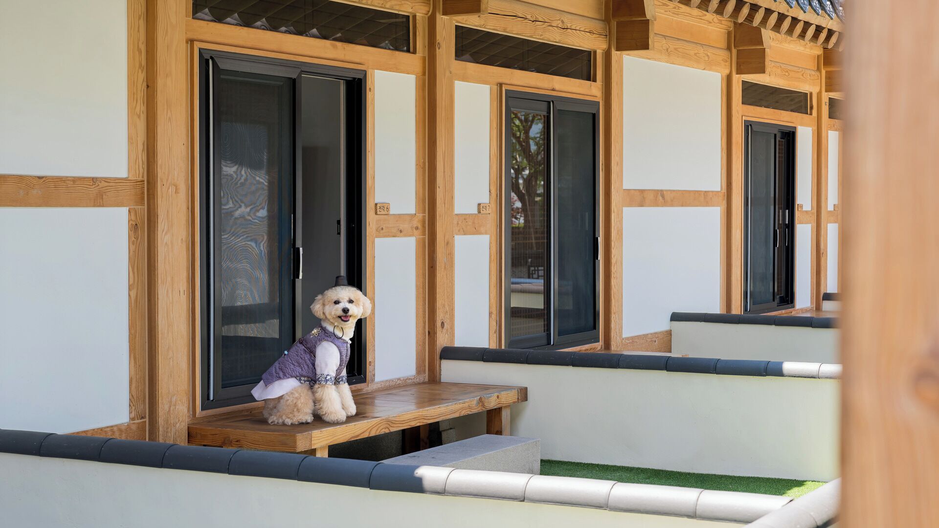 A small dog sitting on a wooden ledge outside a building with large windows and a wooden facade.