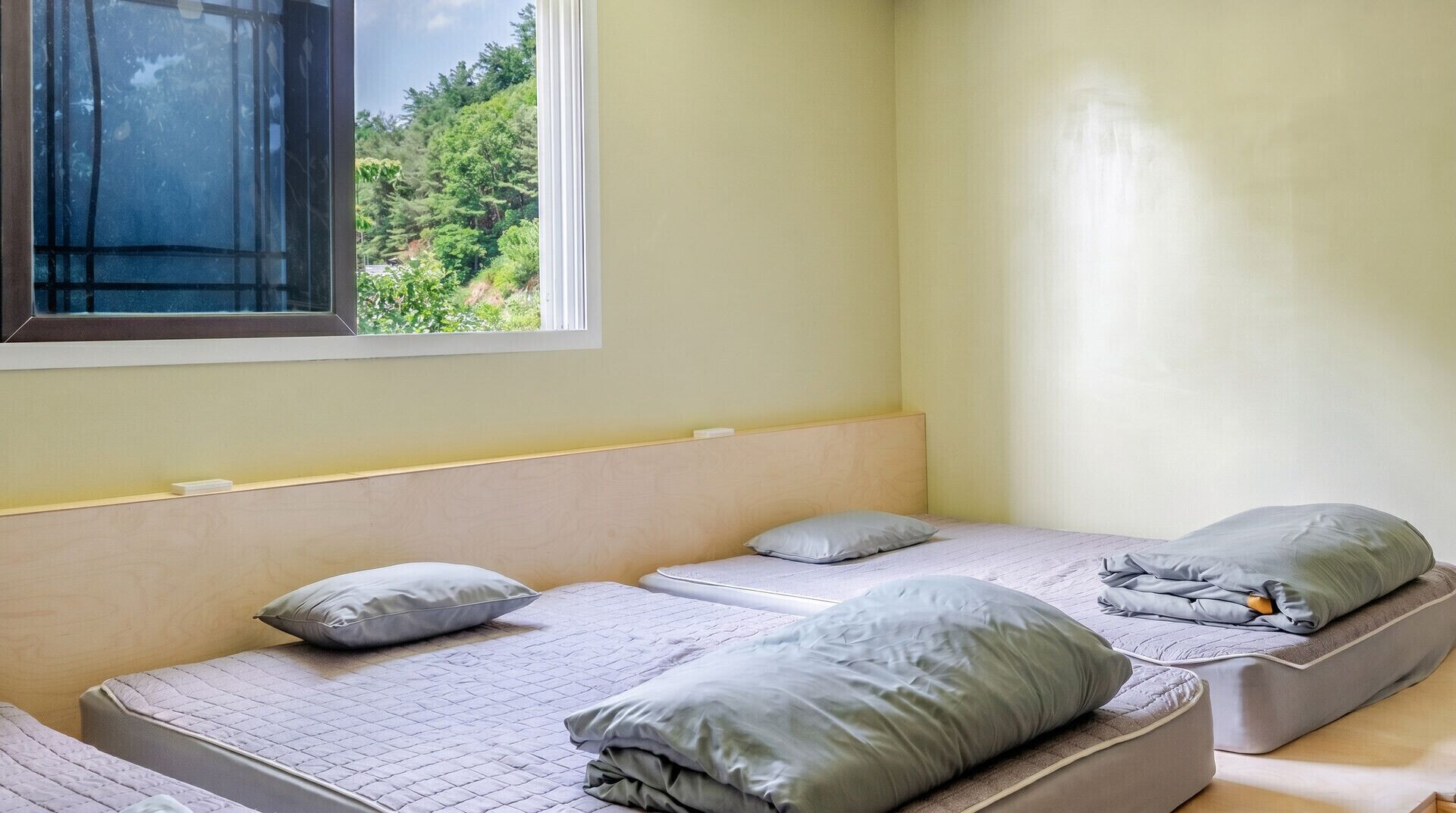 Basic Room, 1 Bedroom (Private Premium Group Room) | 1 bedroom, free WiFi