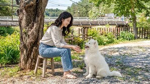 A person sitting on a stool next to a tree, petting a white fluffy dog.