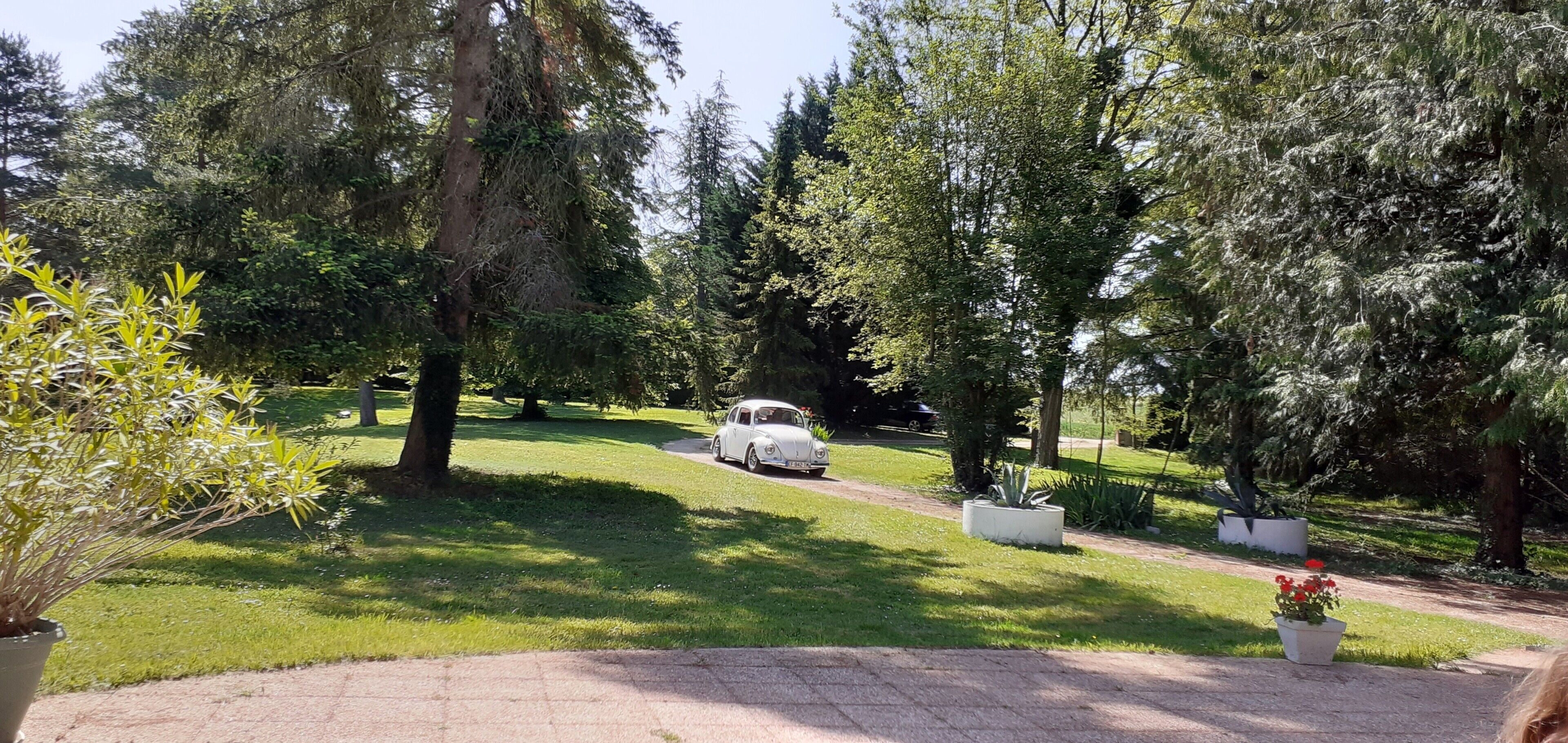 Une allée pavée mène à une voiture blanche garée dans un espace verdoyant, agrémenté d’arbres et de plantes en pot.