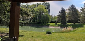 Un espace extérieur paisible, avec un étang, entouré d’arbres et d’herbe.