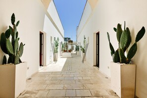 A narrow corridor with white walls, large cacti, and a tiled floor. - La Corte Bella (Leverano)
