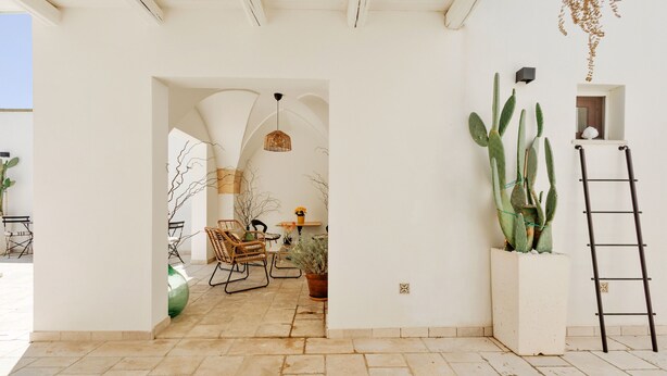 Een interieur met een stenen vloer, een cactussplant, een ladder en een stoel.
