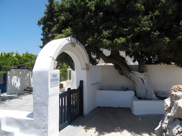 A white building with a black gate, an archway, and a tree.