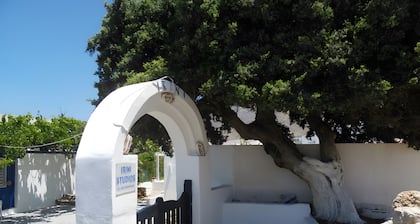 Irini Studios Arkasa – Ruhige Lage nahe Strand und Sehenswürdigkeiten