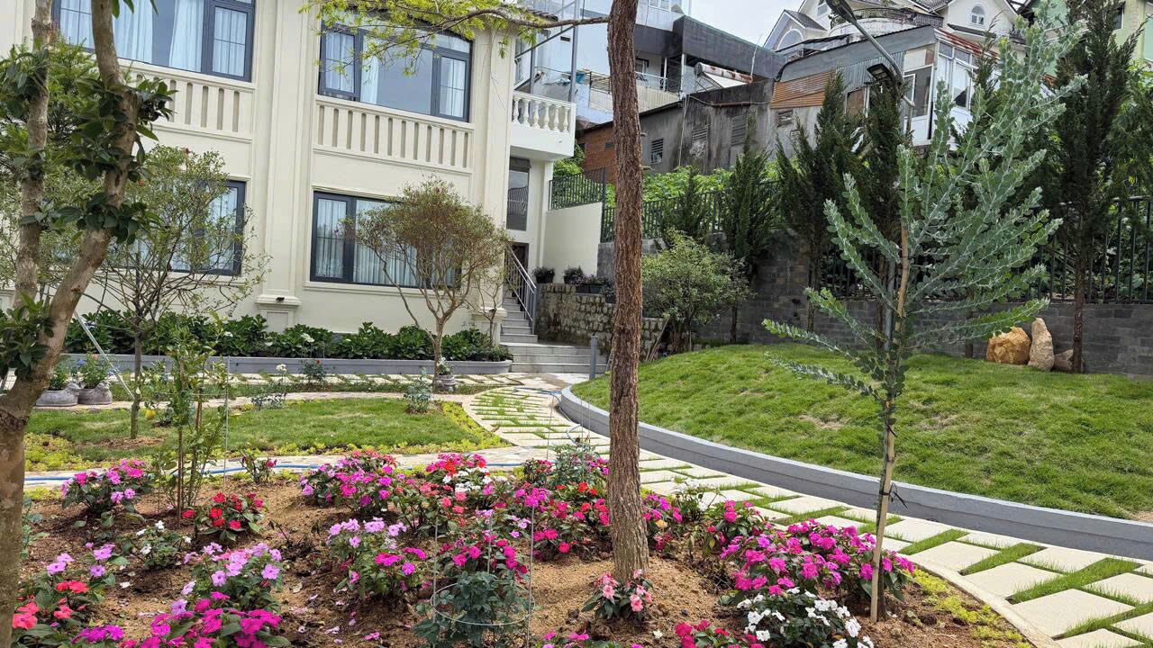 Garden view