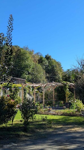 Ein Garten mit einer Pergola, einem Weg und verschiedenen Pflanzen.