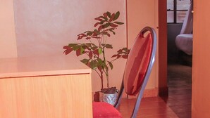 Um quarto com uma escrivaninha de madeira, uma cadeira de metal com almofada vermelha, uma planta em vaso e piso de azulejos.