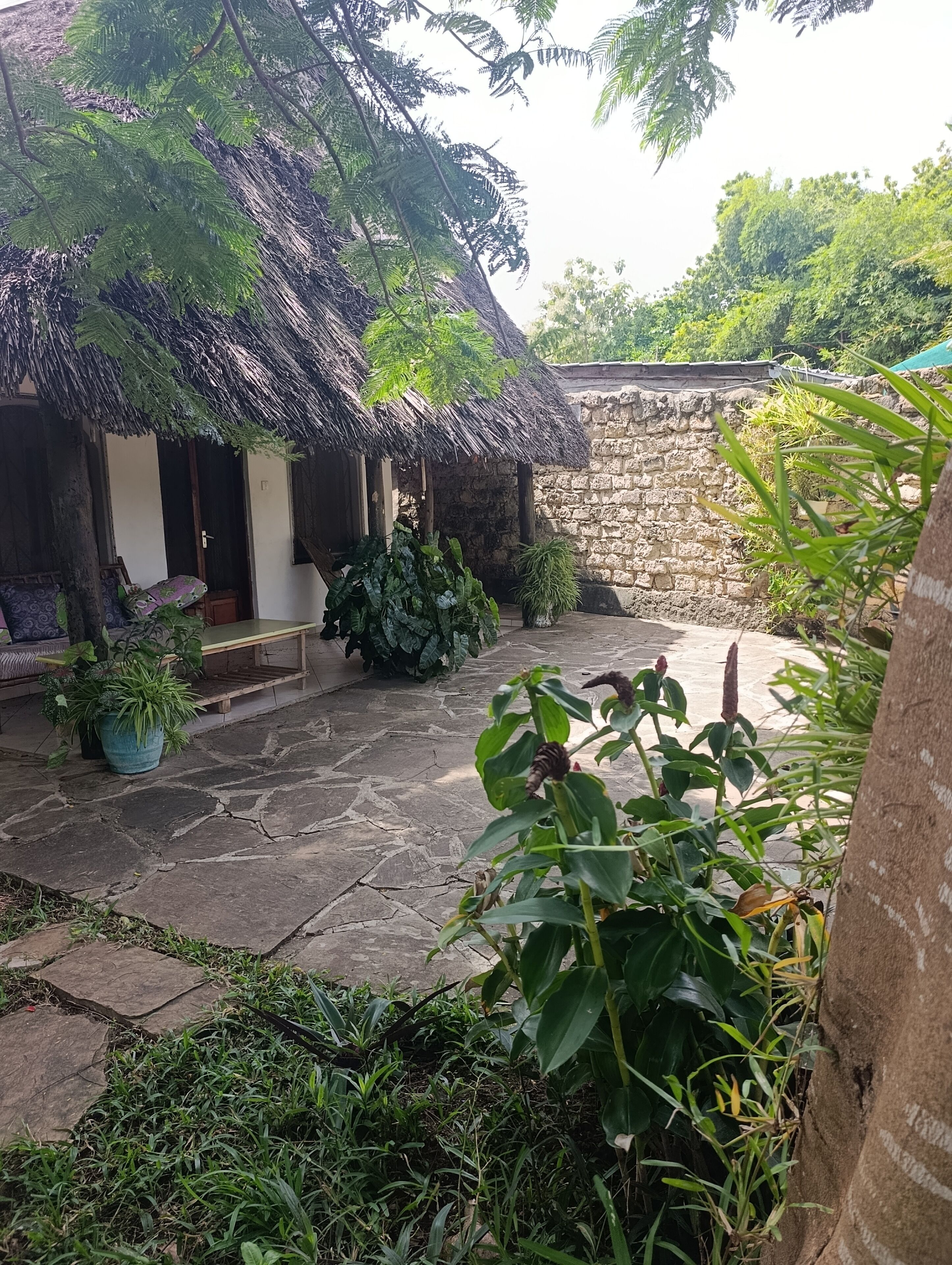Terraza o patio