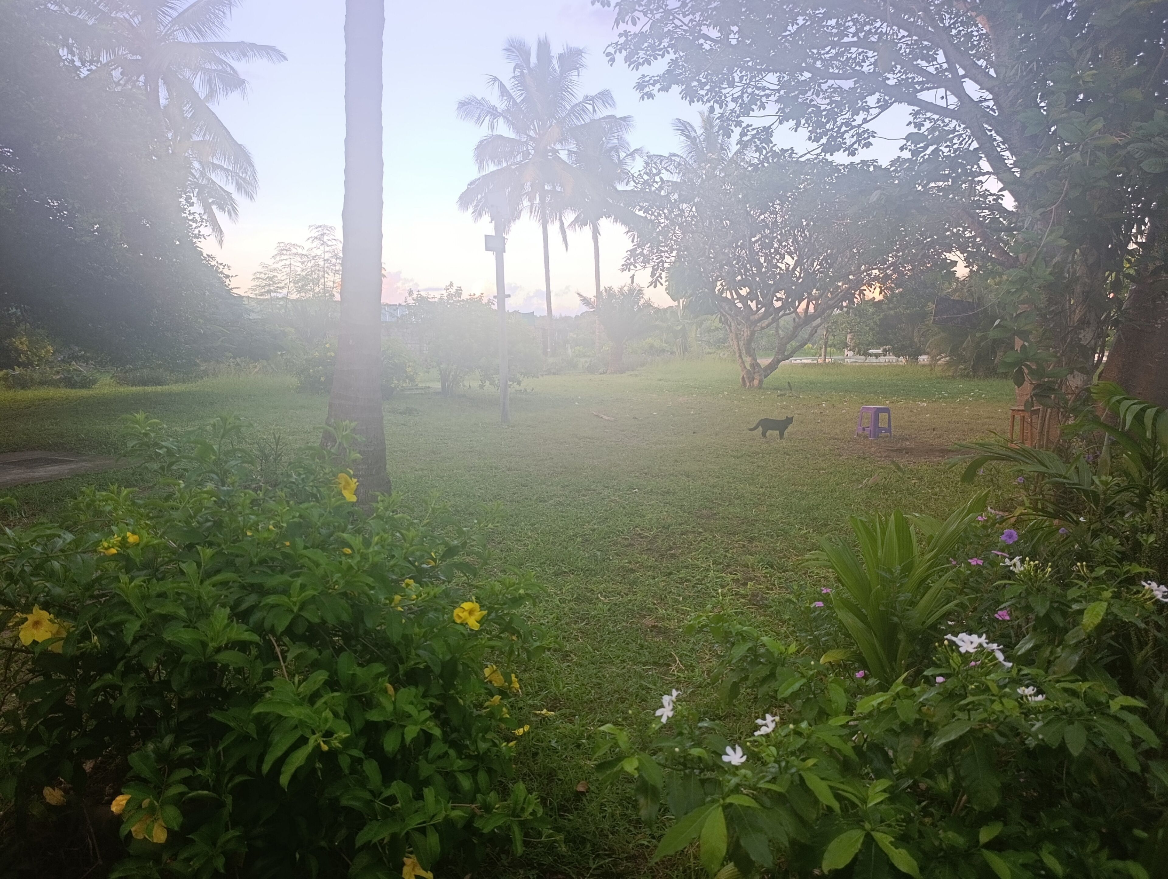 Property grounds