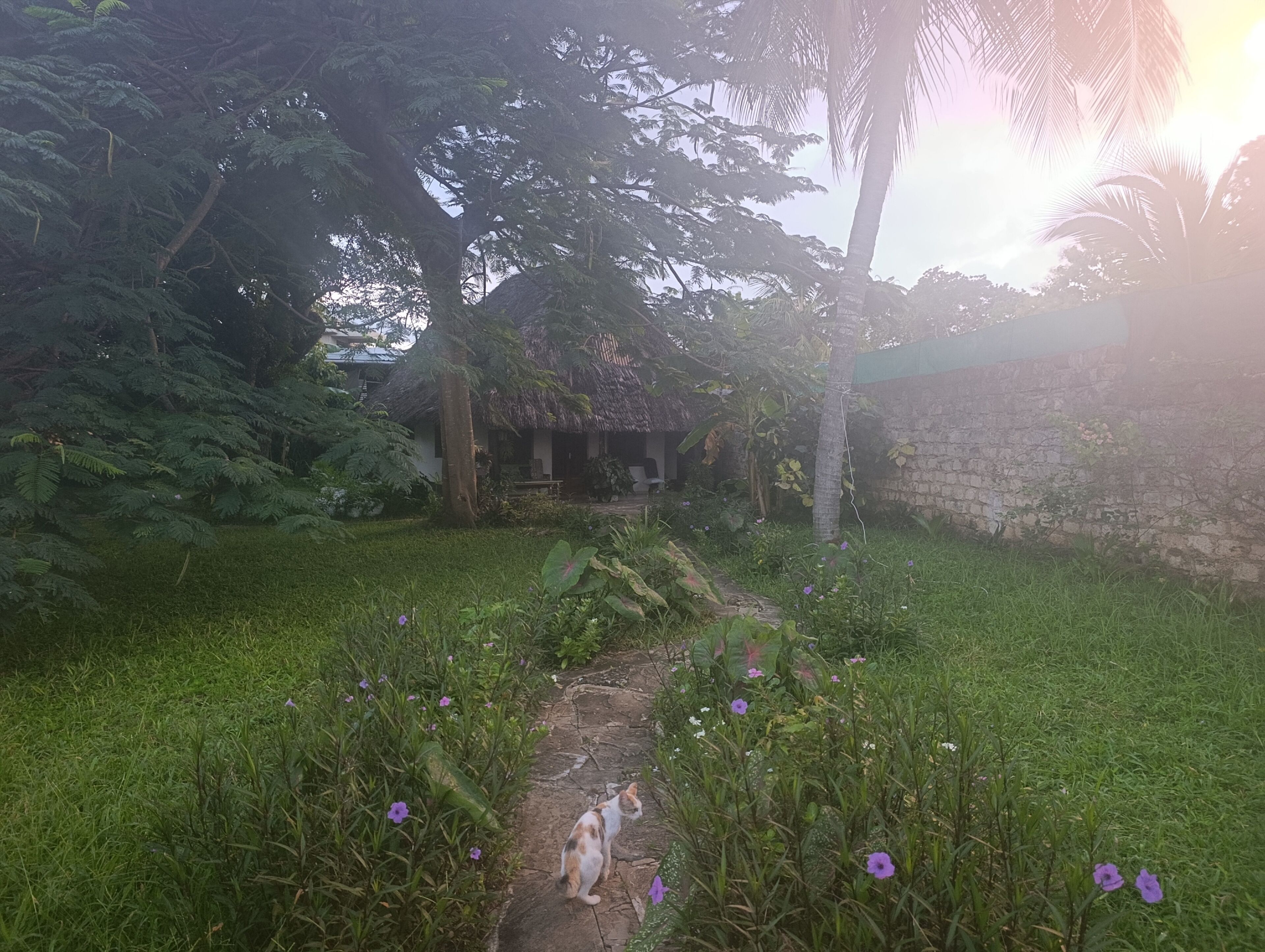 Property grounds